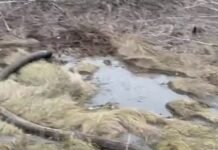 Зливав відходи неподалік ферми: на Дніпропетровщині водний патруль виявив водія-порушника