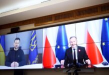 Зеленський і Дуда провели переговори про взаємодію в оборонній сфері та підтримку з боку ЄС