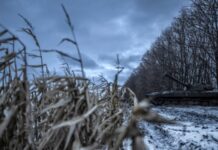 Генштаб повідомив про 98 зіткнень на фронті й чотири збиті «Шахеди»