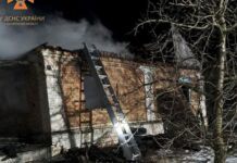 На пожежі у Запоріжжі загинув 47-річний власник будинку