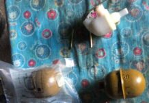 На Дніпропетровщині поліцейські вилучили у 27-річного чоловіка гранати та патрони