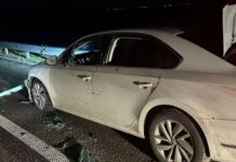 Умисне вбивство: поліція розшукує свідків розстрілу водія автомобіля на Дніпропетровщині