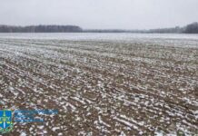 Прокуратура Дніпропетровщині повернула державі землі вартістю 40 млн грн