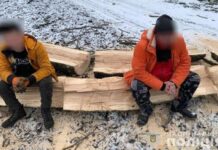 У Дніпровському районі поліцейські викрили лісорубів-порушників: подробиці