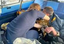 Надзвичайники Дніпра врятували чоловіка, який провалився під кригу в АНД районі міста