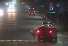 У Кам’янському водій Renault збив чоловіка на пішохідному переході: деталі