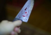 Наніс ножове поранення собаці: правоохоронці Запоріжжя відкрили кримінальне провадження за фактом жорстокого поводження з твариною