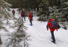 У Карпатах снігопади: українців попереджають про загрозу лавин