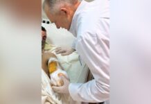 Безпілотник влетів у кабіну: у Дніпрі врятували захисника, якому відірвало руку на фронті