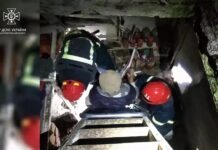 У Кривому Розі рятувальники визволили жінку, яка впала в льох