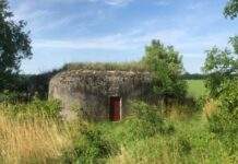 Естонія збудує 600 оборонних бункерів уздовж кордону з Росією