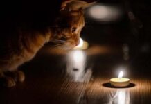 В Україні відключатимуть світло боржникам: деталі