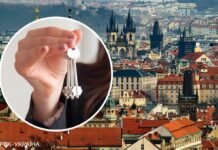 Оренда житла у Чехії: які ціни в регіонах і де шукати варіанти квартир