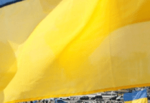 Як зміниться кількість населення України через 15 років: прогнози демографів