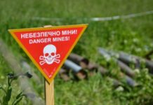 Угорщина приєдналася до коаліції з розмінування України – міністр оборони