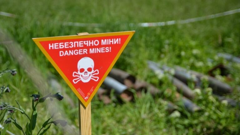 Угорщина приєдналася до коаліції з розмінування України – міністр оборони