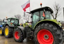 Польські фермери висипали зерно з українських фур на кордоні – поліція почала розслідування