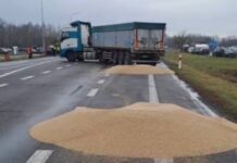 Висоцький: Україна очікує «швидкого та об’єктивного» розслідування cправи про розсипане українське зерно у Польщі