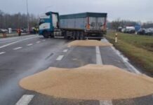 «Акт відчаю»: міністр сільського господарства Польщі попросив вибачення за розсипане українське зерно на кордоні