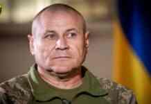 «Це російська ІПСО» – Тарнавський заперечує інформацію про втрати ЗСУ біля Селидового