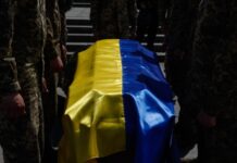 Депутати ухвалили закон про зберігання репродуктивних клітин військових