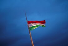 Парламент Угорщини ратифікував заявку Швеції на вступ до НАТО