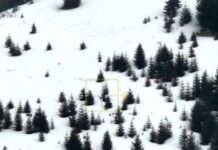 Летальна спроба втечі з України: на румунському кордоні виявили тіло чоловіка без ознак життя