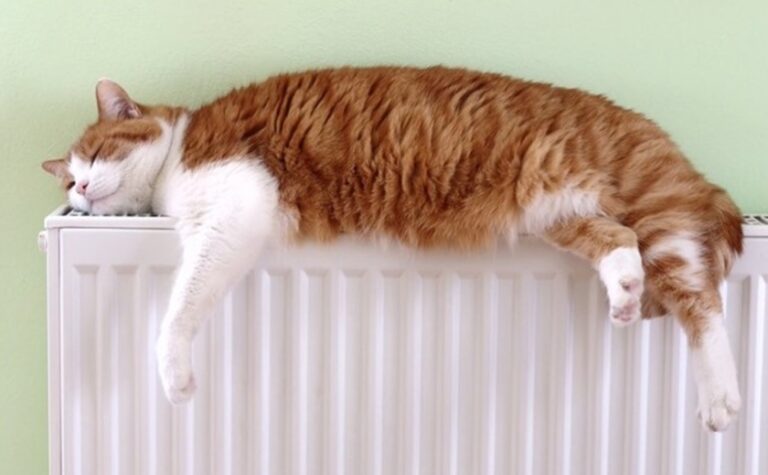 До жителів Придніпровську у Дніпрі повернулось опалення