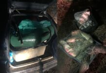 Наловив на 150 тисяч гривень: у Зеленодольську поліцейські викрили браконьєра