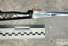 Вбив співмешканку та пішов з дому: у Кривому Розі затримали нападника