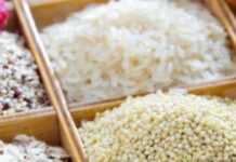 Корисні та некорисні крупи: дієтолог розповів, які крупи варто обирати для каш і як їх правильно варити