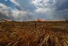 Унаслідок атаки безпілотників РФ на Донеччину знищено близько 480 тонн зерна — ОВА