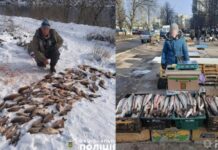 З початку року запорізькі поліцейські вилучили понад півтонни незаконно виловлених водних біоресурсів: подробиці