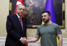 Зеленський найближчим часом може зустрітися з Ердоганом