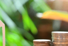 В Україні посилили вимоги для виходу на пенсію: що змінилося в 2024 році