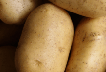 В Україні стрімко зросли ціни на картоплю: як зміниться вартість з приходом весни