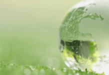 Попередні зміни клімату викликали у світі спалахи чуми: учені занепокоєні швидкістю глобального потепління