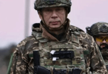 Керував обороною Києва та контрнаступом на Харківщині: що відомо про нового головнокомандувача ЗСУ Олександра Сирського