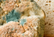 Чому не можна їсти продукти з пліснявою: фахівці розповіли про основну небезпеку