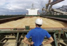 Україна вийшла на довоєнні обсяги експорту морським зерновим коридором, – Шмигаль