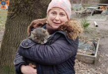 Хвилинка доброти: у Запоріжжі надзвичайники врятували котика