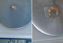 Викрадав золоті прикраси протягом року: поліцейські Кривого Рогу викрили зловмисника