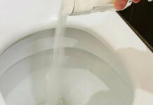 Для чого сиплють сіль в унітаз: ця проста хитрість допоможе уникнути екстрених ситуацій