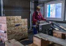 Як і коли подавати скаргу на роботодавця в Польщі: поради українцям