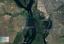 На Запоріжжі прокуратура повернула державі землі лісогосподарського призначення вартістю 3,36 млн грн