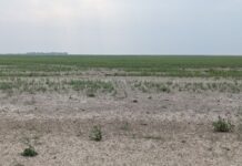 Уряд заборонив нецільове використання земель Каховського водосховища