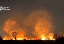 Поліція відкрила провадження через пожежу на території заказника в Києві