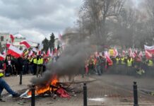 Під час протесту фермерів у Варшаві затримали 23 «провокаторів» – МВС Польщі