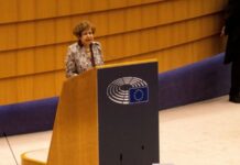 Латвія розпочала розслідування щодо повʼязаної із РФ євродепутатки Жданок