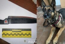 У Кривому Розі службовий собака допоміг розкрити вбивство: підозрювану у злочині затримали